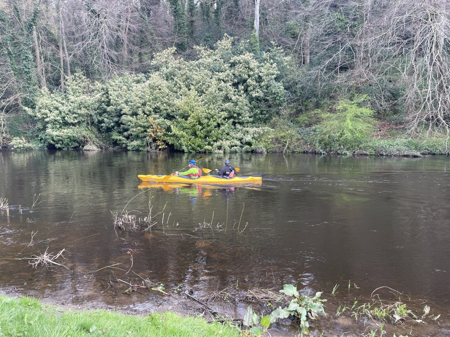 Paddle4Parkinsons