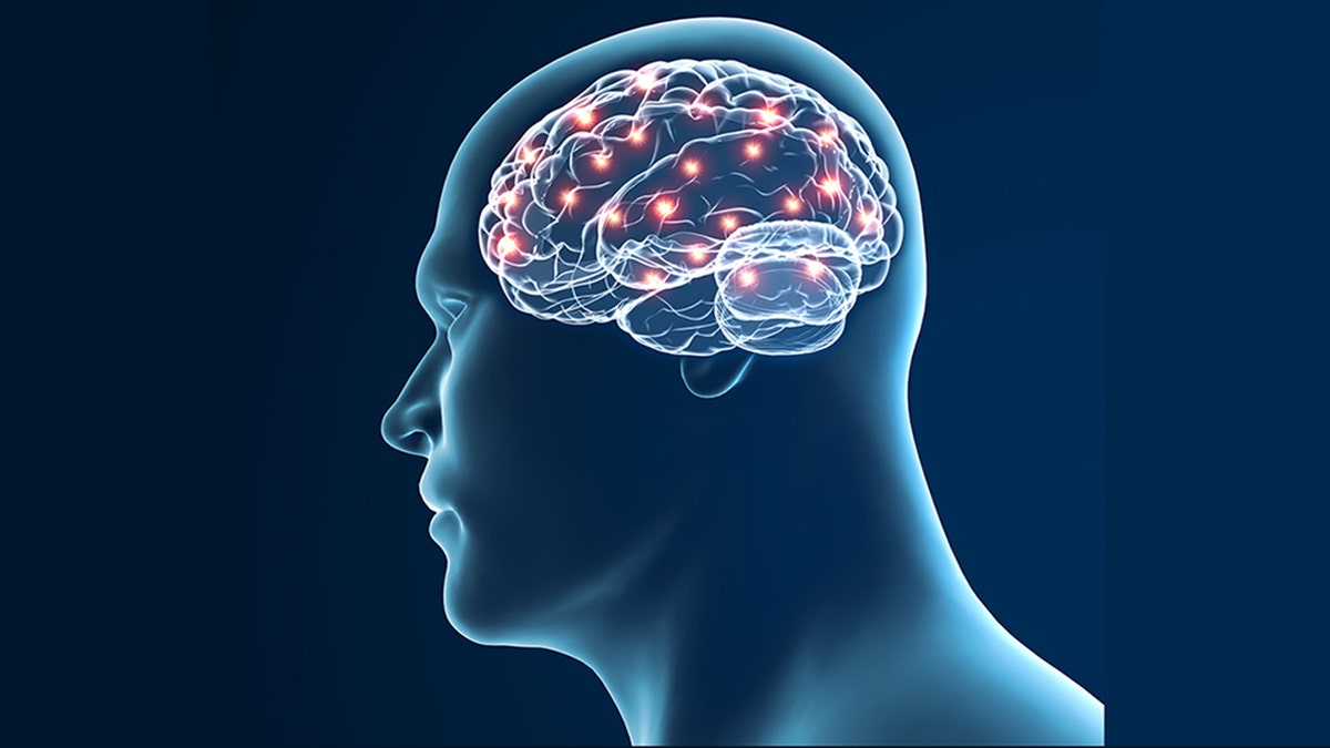 illustration of a human brain and reaction points