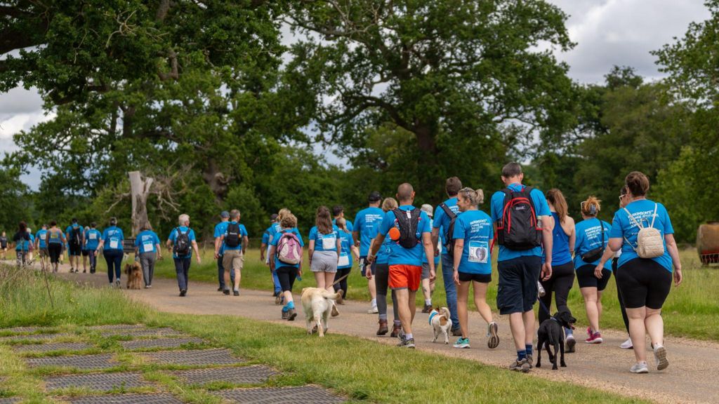 Walkers taking part in the Walk for Parkinson's