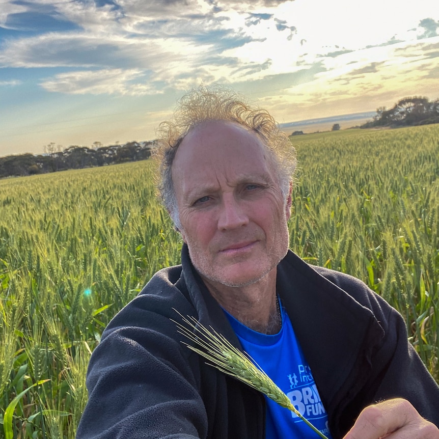 An older man with wispy grey hair stands in a field of wheat as the sun sets