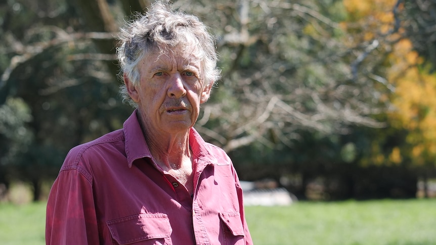 An older man in a red shirt standing in front of a tree