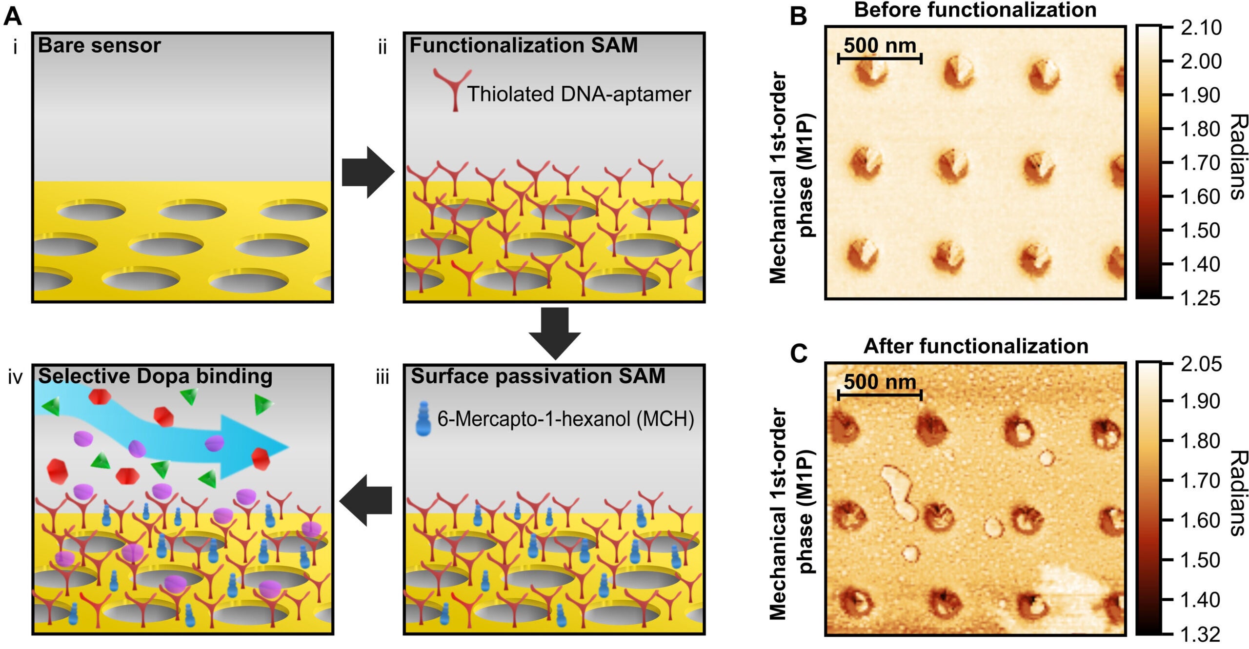 Aptameric surface functionalization for selective detection.