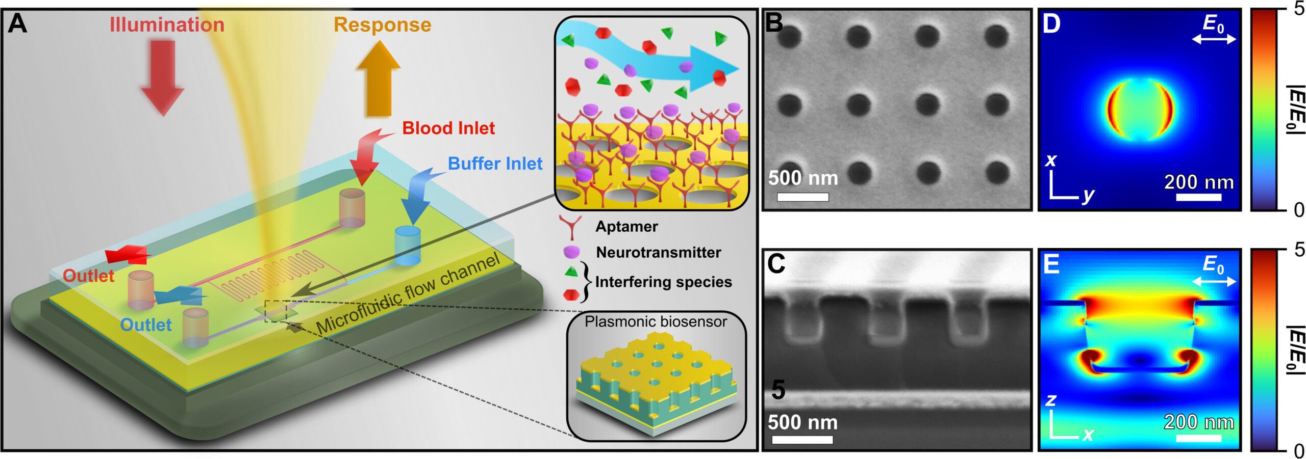 Description of plasmonic biosensor platform.