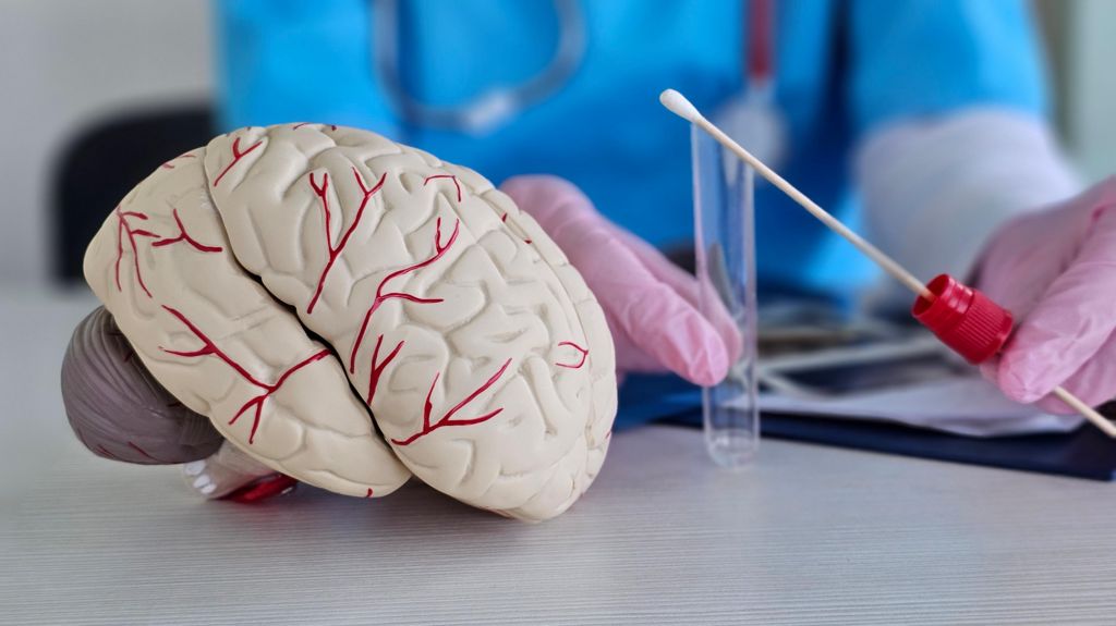 A close-up image of a replica of a white brain with red veins in front of two hands wearing pink latex gloves holding a swab and a plastic tube. 