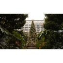 Four Seasons Hotel Mexico City Welcomes the Most Magical Season of the Year