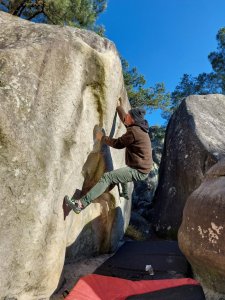 Ton in Fontainebleau