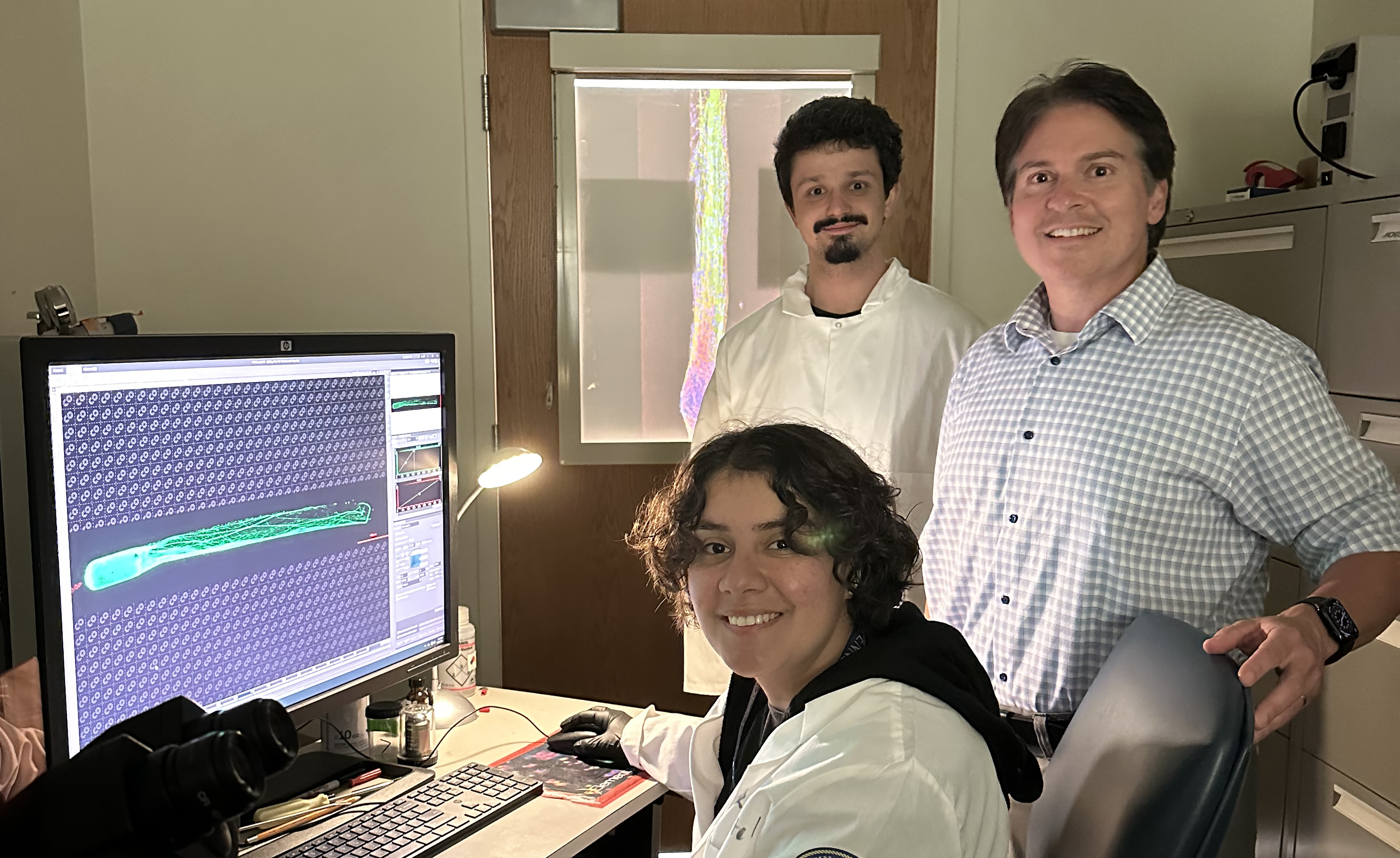 Three scientists, Viviana Alpizar, Adam Weissman, and D Kacy Cullen, in a lab with a computer screen displaying images of living brain implants.