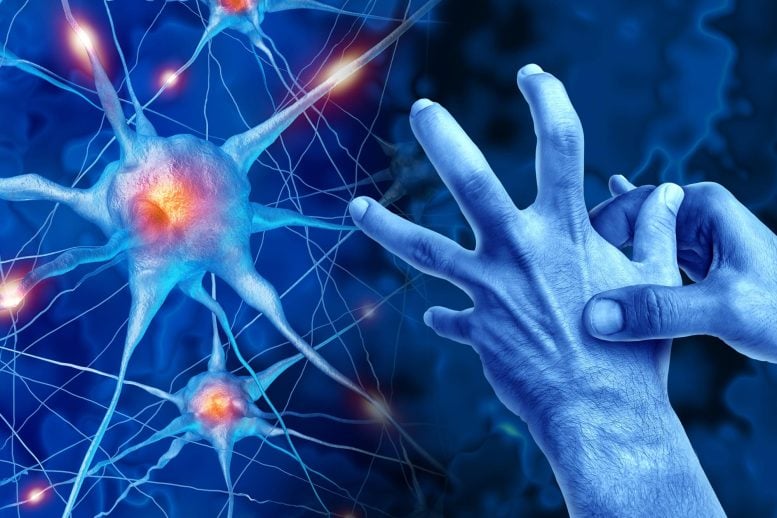 Parkinsons Disease Neuroscience Movement