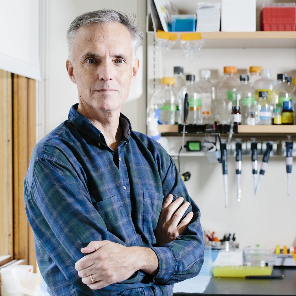 James Collins and his team have been uncovering potential new antibiotics at a rate far faster than previously possible thanks to AI tools they created (Credit: M Scott Brauer)